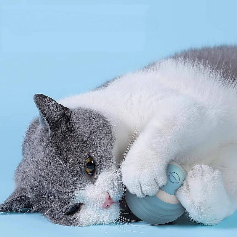 Kedi İnteraktif Topu Akıllı Ke - Electronics Gadgets Wholesale incelemesi ve fiyatı